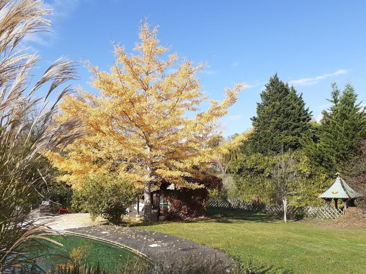 La Fee Des Eaux Bed & Breakfast Vernaison Luaran gambar